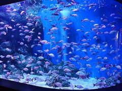 -成都浩海立方海洋公园