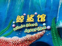 -珠海长隆海洋王国