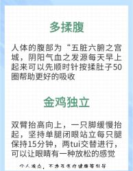 -Fundi张玉珊修身堂·indiba·BTL科技瘦身