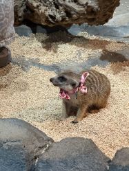 -Zoolung Zoolung动物主题公园(海信广场店)