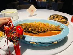 -阿五黄河大鲤鱼(纬三路店)