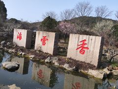 -香雪海