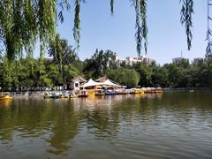 -莲湖公园
