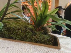 -小董哥烤串·爆汁大油边(故宫店)