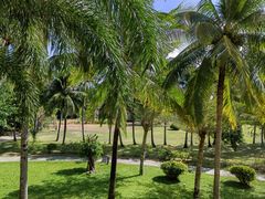 -三亚亚龙湾金棕榈度假酒店