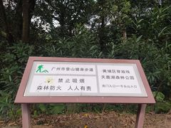 -天鹿湖森林公园