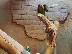 -天河领展广场