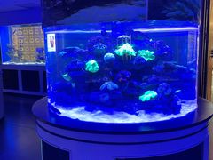 -上和臻品中国菜(花园街店)