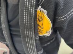 -勇气斑马·巴西柔术&跆拳道(浦东三林店)