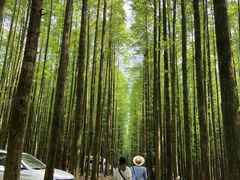 -山王坪喀斯特国家生态公园