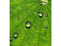 -西南交通大学(九里校区)