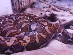 -北京野生动物园