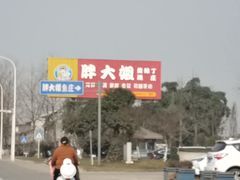-胖大姐黄辣丁鱼庄(新津店)