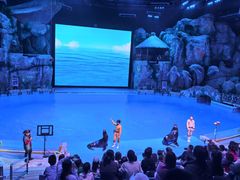 -芜湖新华联大白鲸海洋公园
