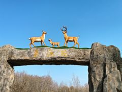 -野鸭湖国家湿地公园