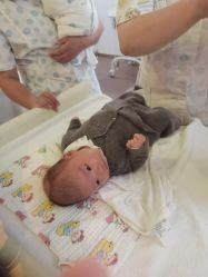 -海豚湾高端月子会所(黄浦店)