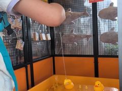 -海合安成都极地海洋公园