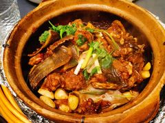 啫啫小甲鱼-金龙·打边炉(武进路店)