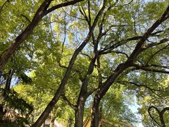 -狼山风景名胜区