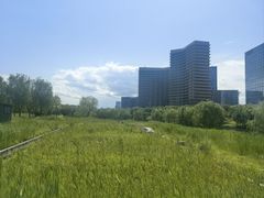 -西海子公园