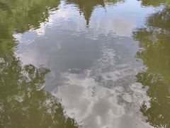 -西园寺