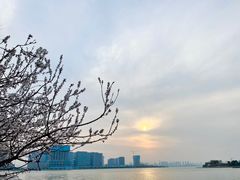 -北龙湖湿地公园
