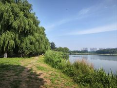 -大兴滨河森林公园