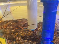 -新海渔港·胶东海鲜家常菜·家宴(奥体中心店)