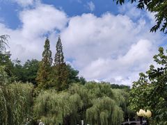 -大连植物园