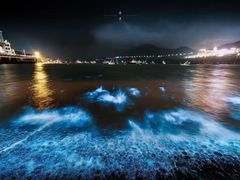 -乌石塘景区