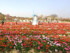 -盈香心动乐园