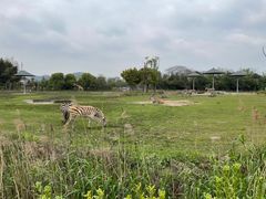-宁波野生动物园