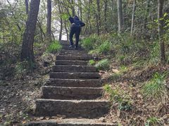 -青龙山国家森林公园