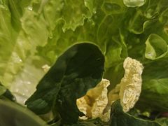 -东门口·新式老北京火锅(河西龙湖天街店)