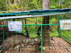 -西双版纳融创皇冠假日度假酒店