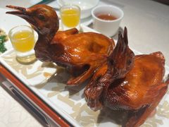 -大鸽饭(动物园店)
