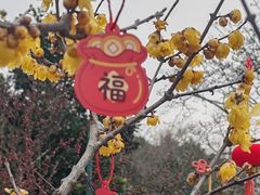 -无锡梅园公园