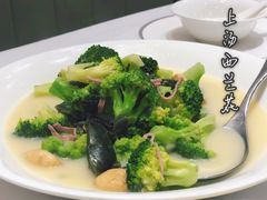 -新吉士·上海菜(浦东LCM置汇旭辉店)