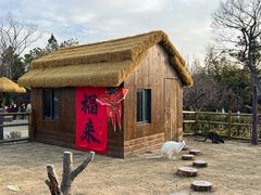 -茅山东方盐湖城景区