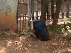 -昆明动物园