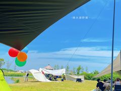 -春花秋色城市公园