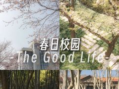 -东南大学(九龙湖校区)