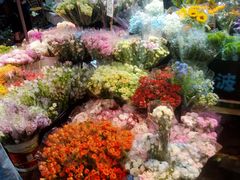 -循礼门鲜花花市(武汉循礼门店)