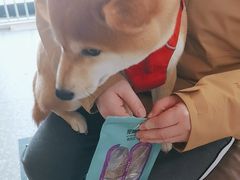-宠物家(长阳店)