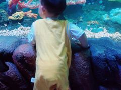 -华夏文旅海洋公园