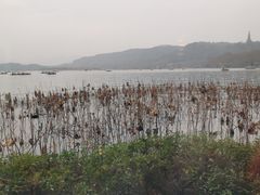 -湖畔居茶楼(湖滨店)