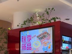 -老板恋上鱼(恒隆广场店)