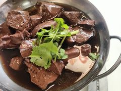 -日日香卤鹅饭店·澄海狮头鹅(澄海店)