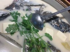 白汤有机鱼头-千岛湖小鱼儿·淳安匠心农家菜