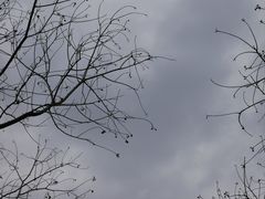 -福道